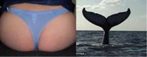 awesome whale tail